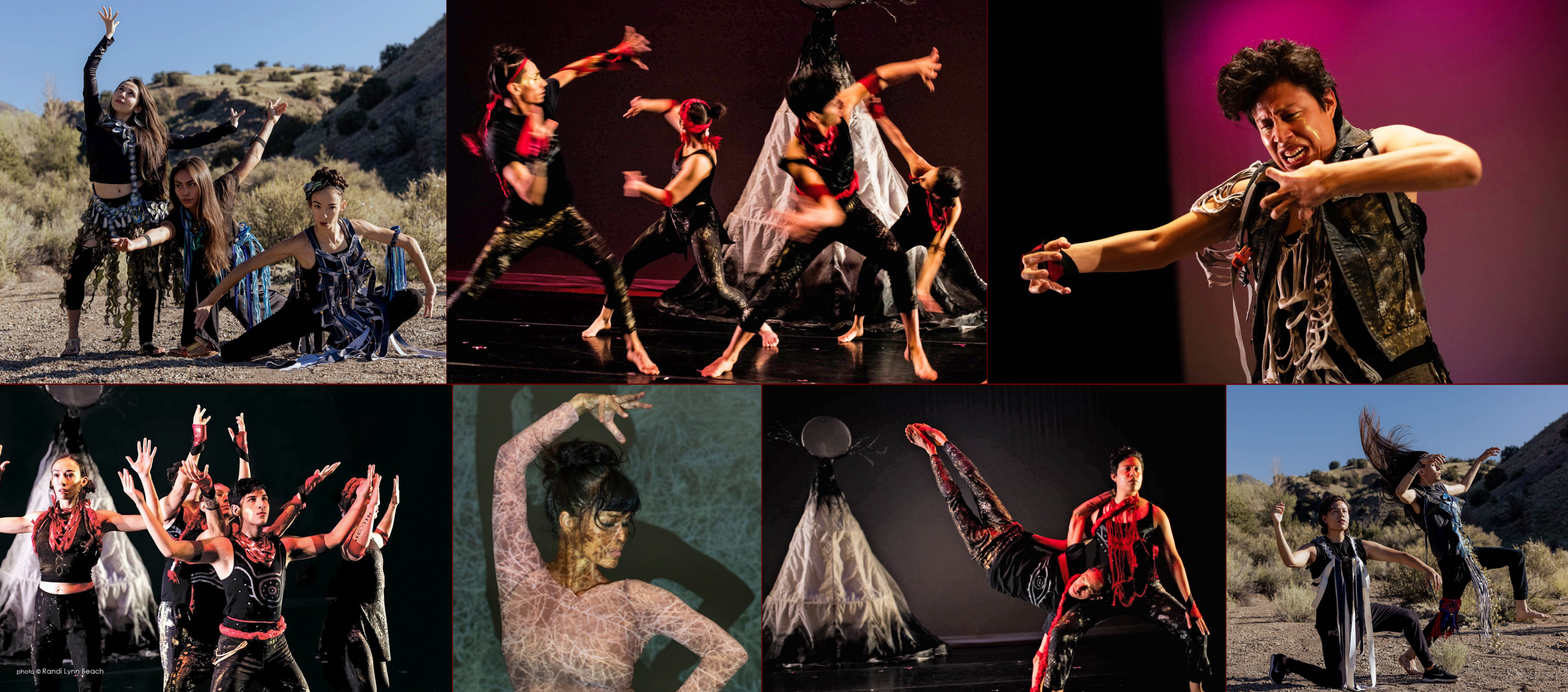 Dancing Earth Creations — Dancing Earth Creations